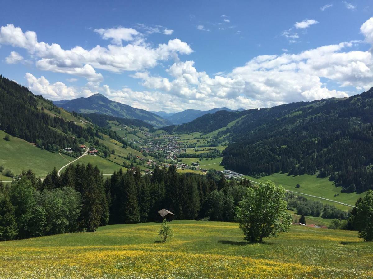 Sonnenalp Bergruhe Appartement Niederau Buitenkant foto